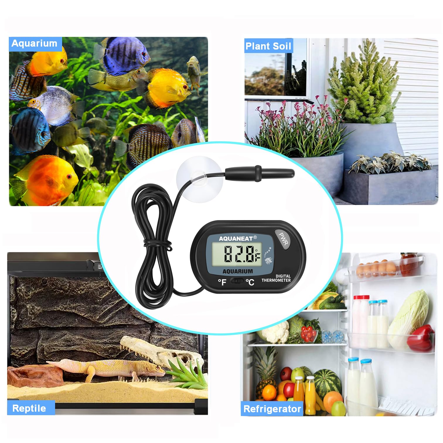 Conçu pour terrariums, vivariums et aquariums, utilisation polyvalente et fiable.