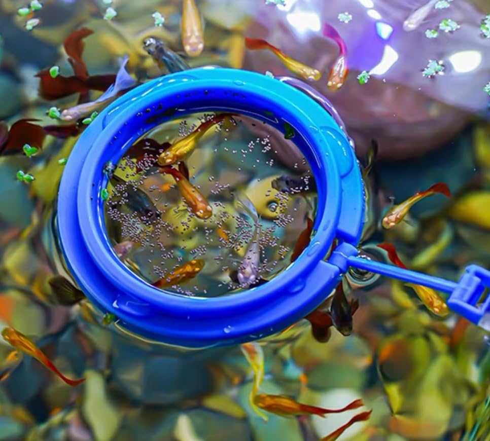 Anneau de nourrissage Aquarium Choice pour déposer facilement la nourriture.