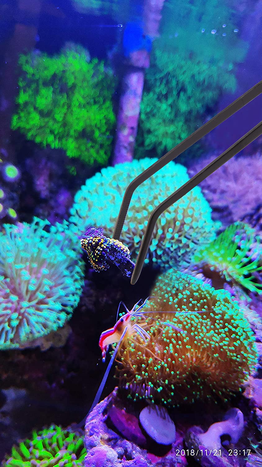 Capuchon silicone détache Aquarium Choice facilite le nettoyage.
