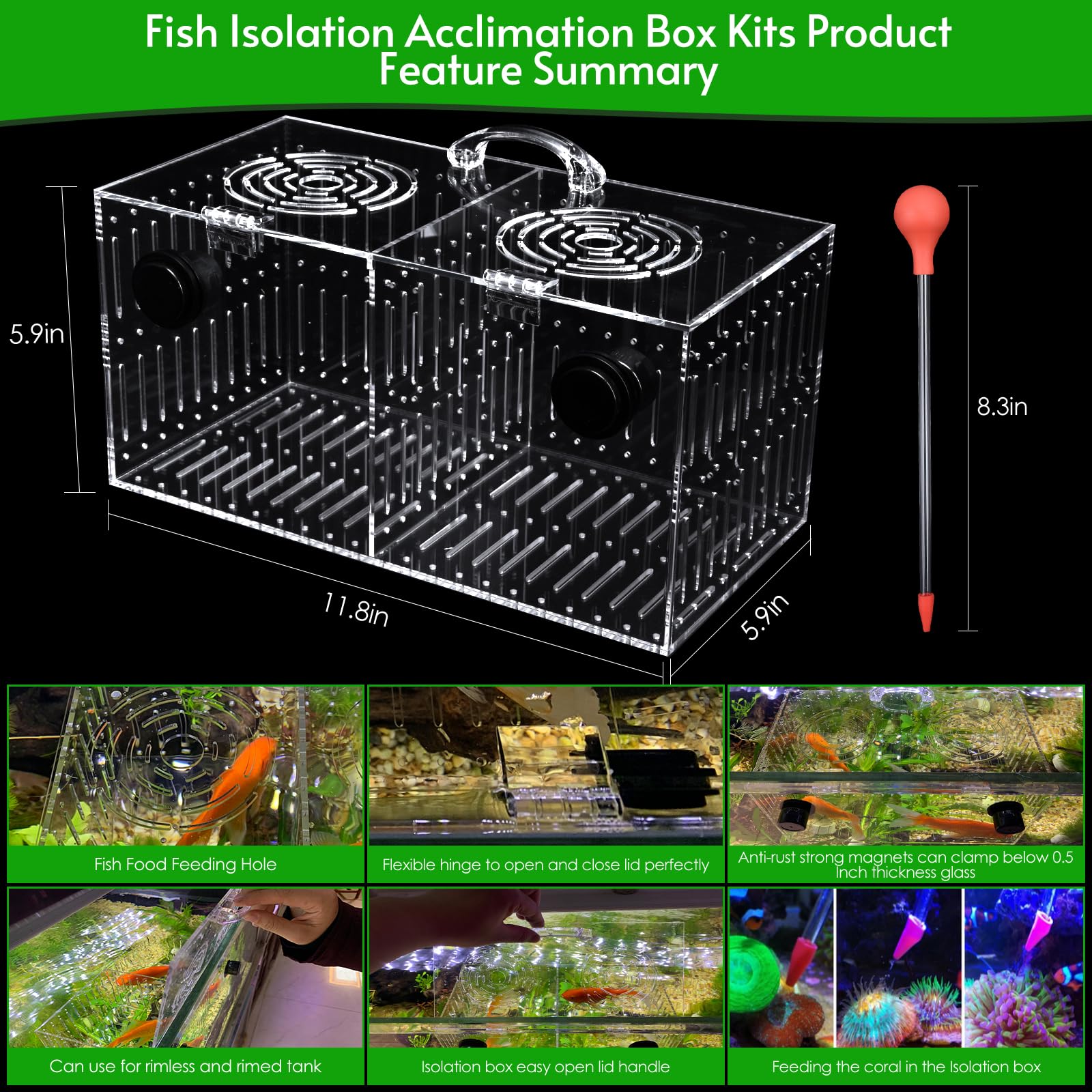 Diviseur d'isolation amovible Aquarium Choice, configuration flexible selon les besoins.