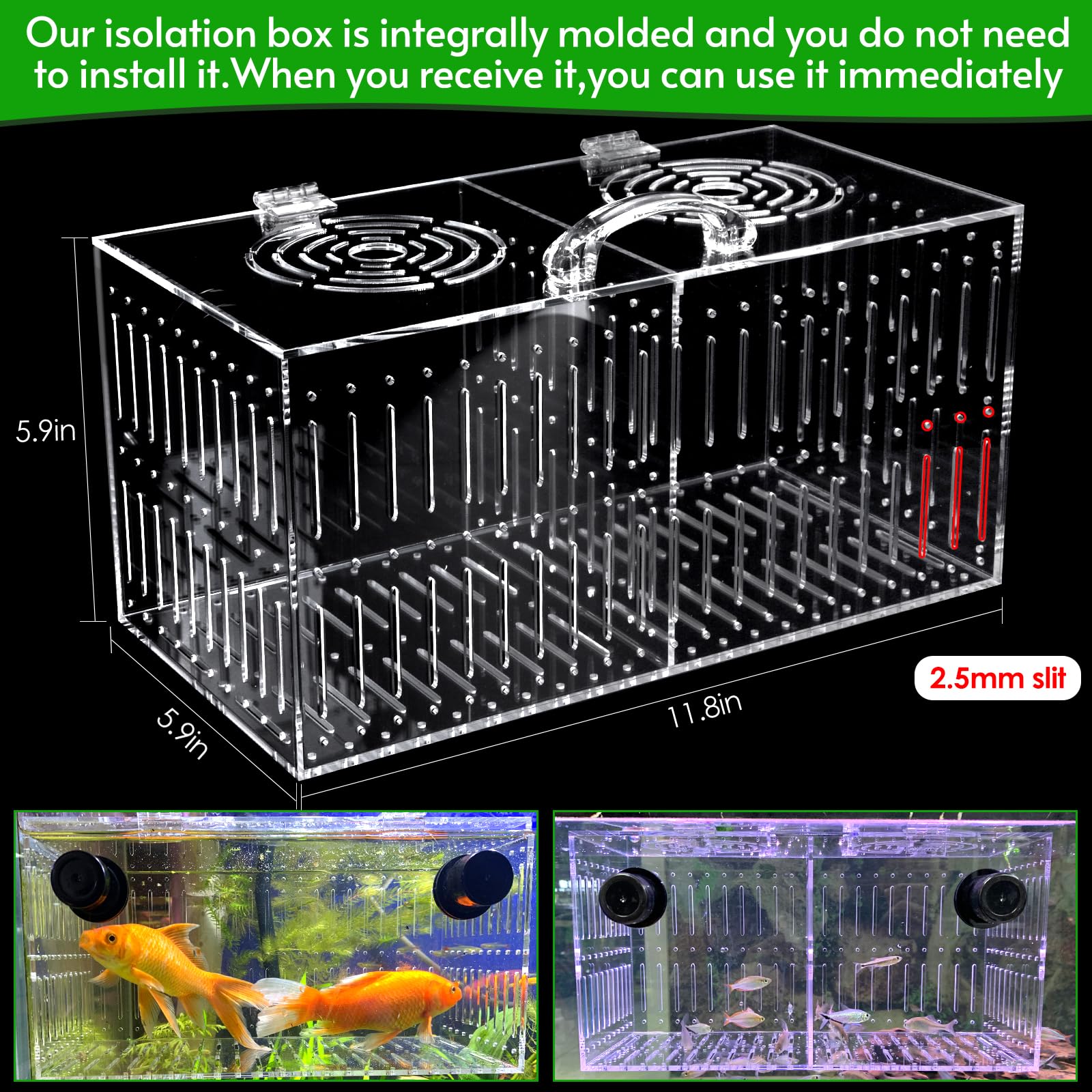 Fentes 2,5 mm assurant le flux d'eau constant dans la boîte Aquarium Choice.