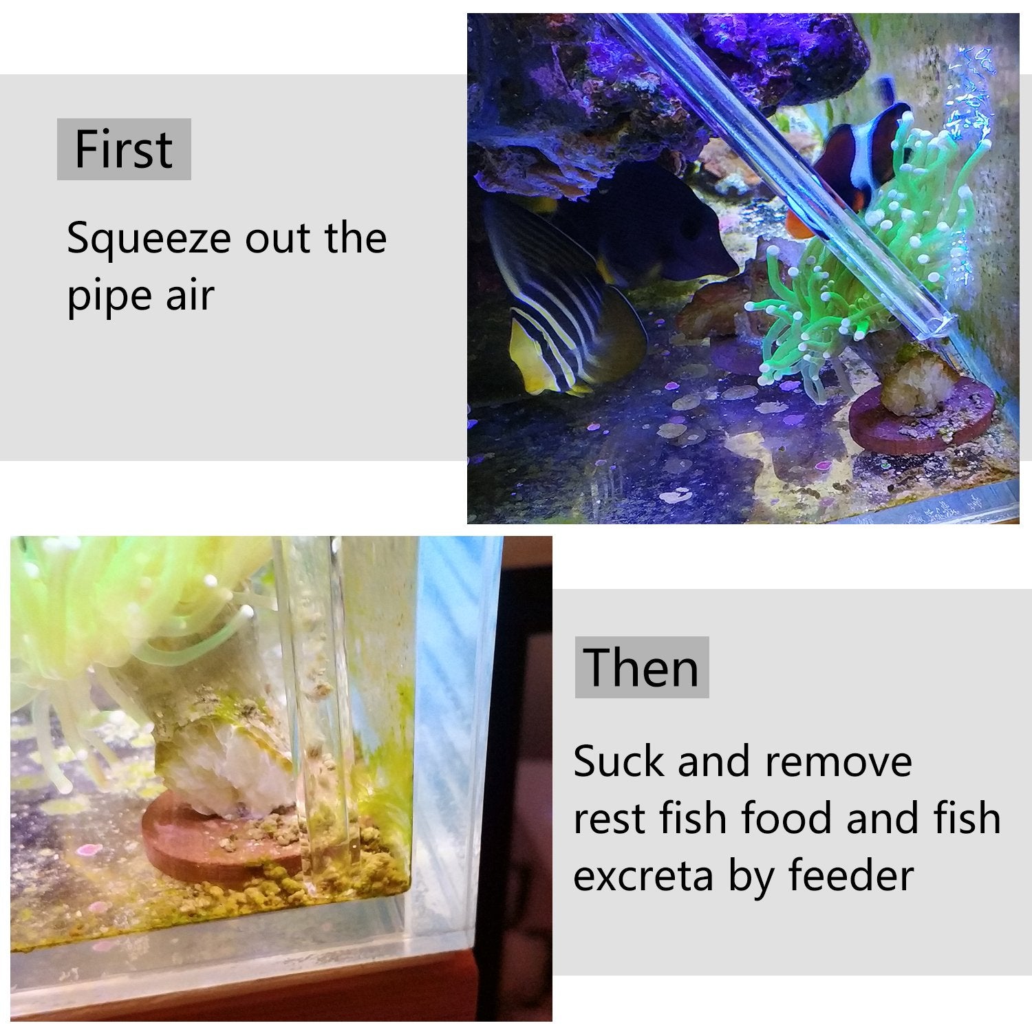 Guide d'utilisation visuel Aquarium Choice pour dosage précis