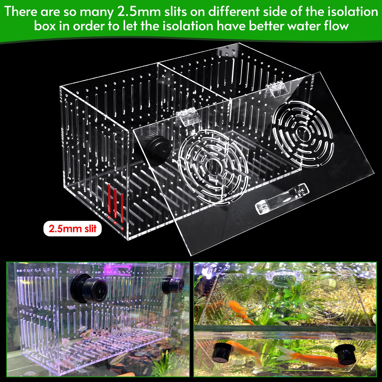 Orifices d'alimentation en haut et poignées du couvercle, pratique avec Aquarium Choice.