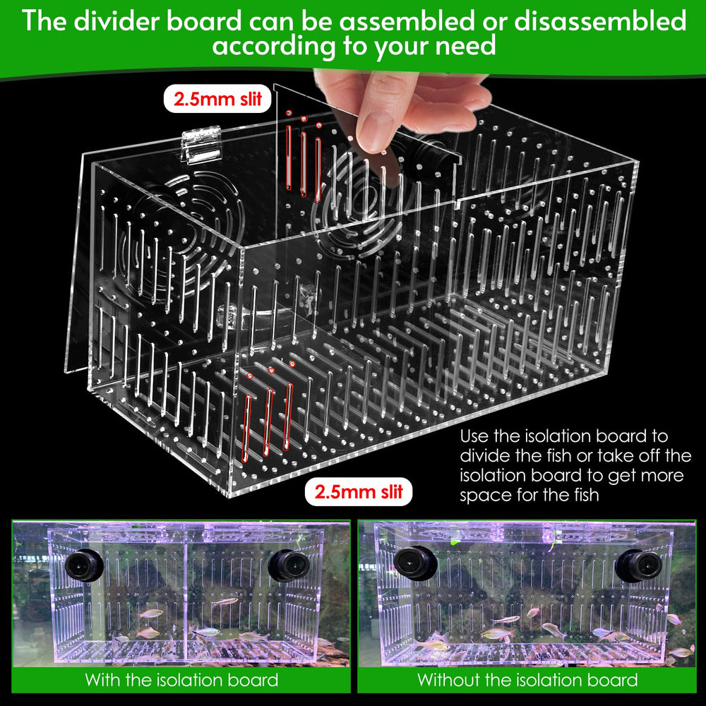 Tuyau d'alimentation pour coraux avec Aquarium Choice, ciblage des repas facilité.