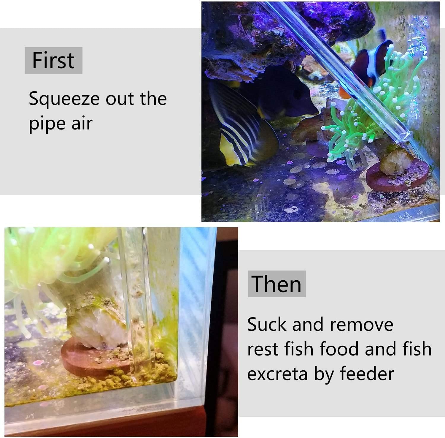 Utilisation de la seringue Aquarium Choice avec bulbe pour nourrir.