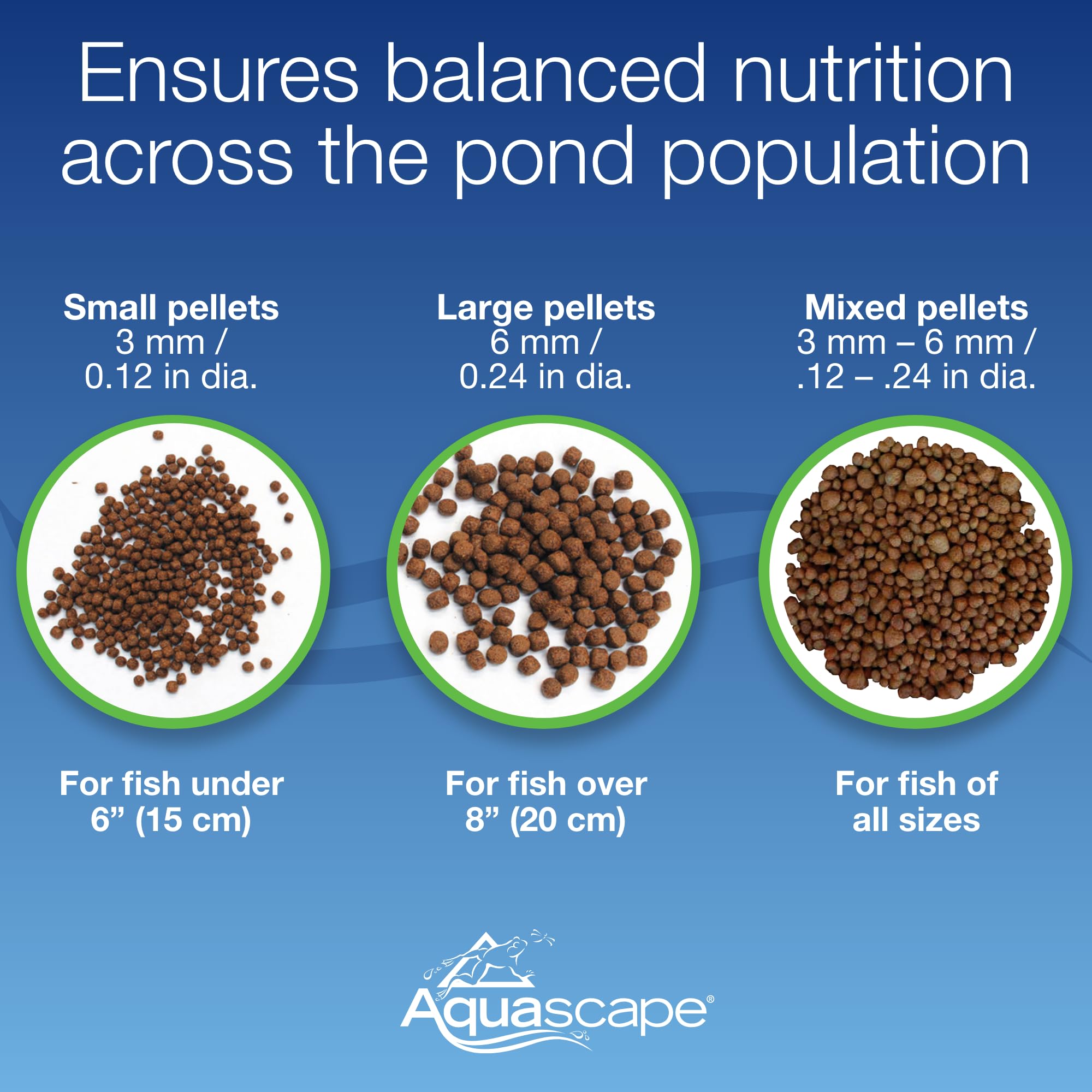 Aquascape nourriture contribuant à une eau propre et claire grâce à l’alimentation équilibrée.