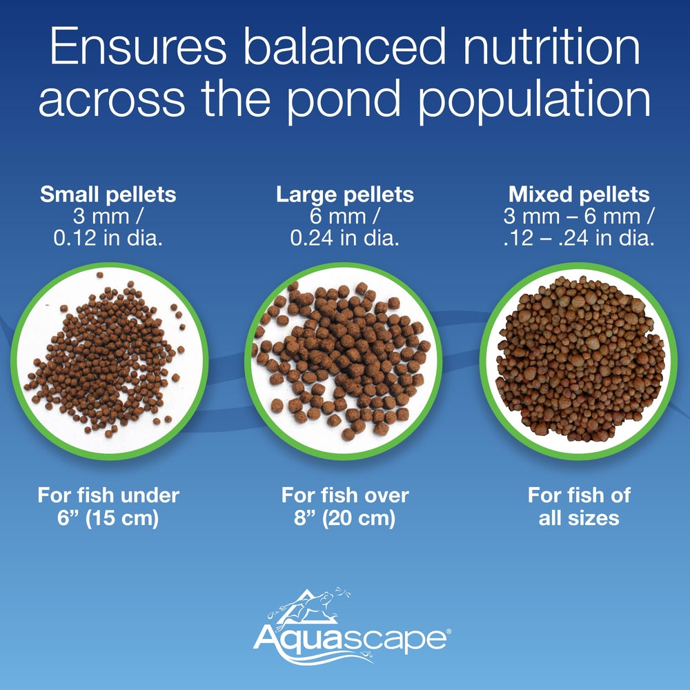 Aquascape nourriture contribuant à une eau propre et claire grâce à l’alimentation équilibrée.