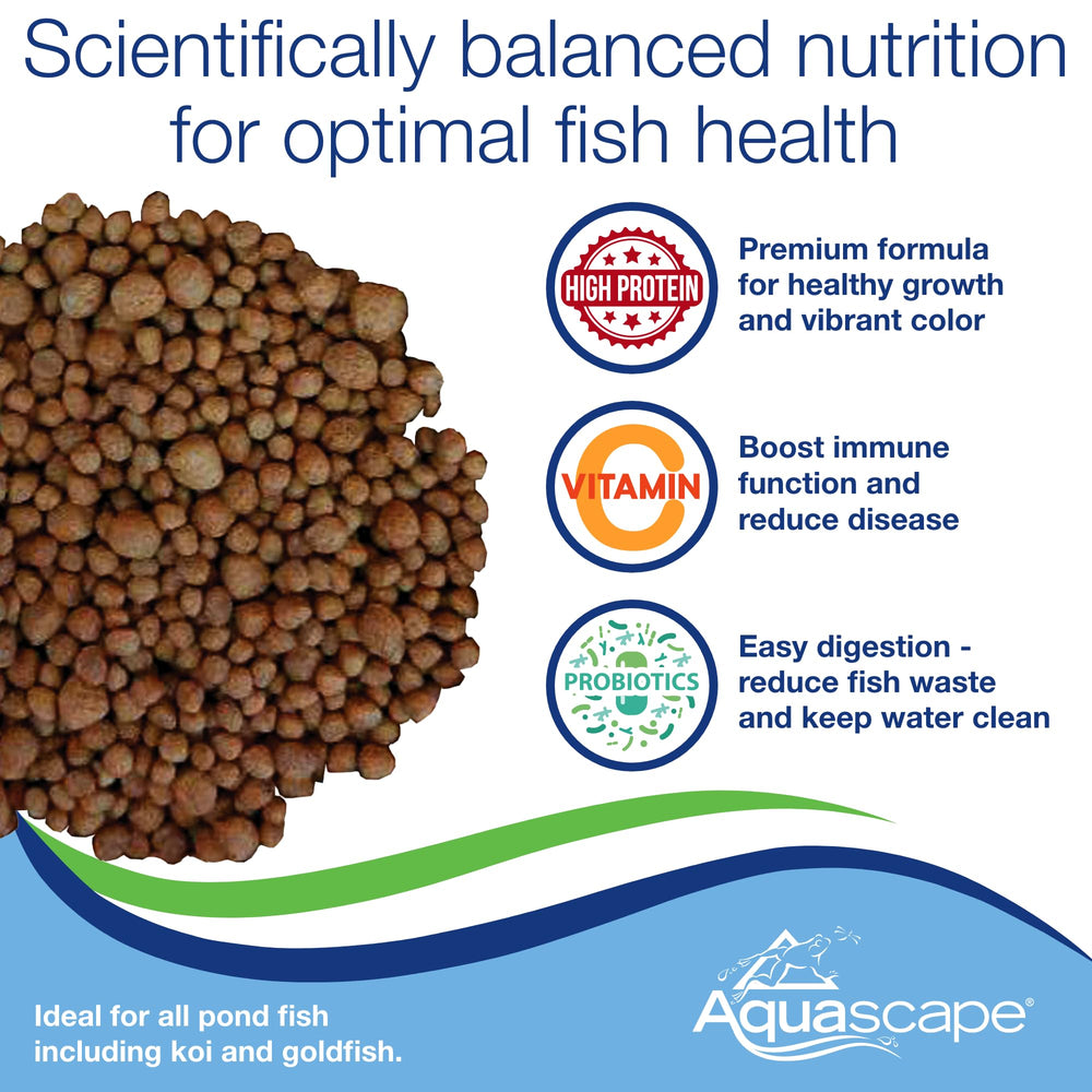 Aquascape nourrissage koi avec pellets variés facilitant la prise et la croissance.