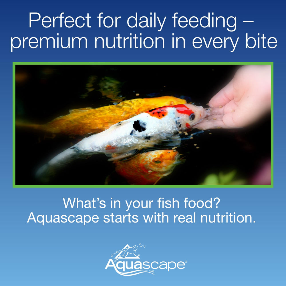 Aquascape vitamine C stabilisée soutenant la vitalité des poissons d’étang.