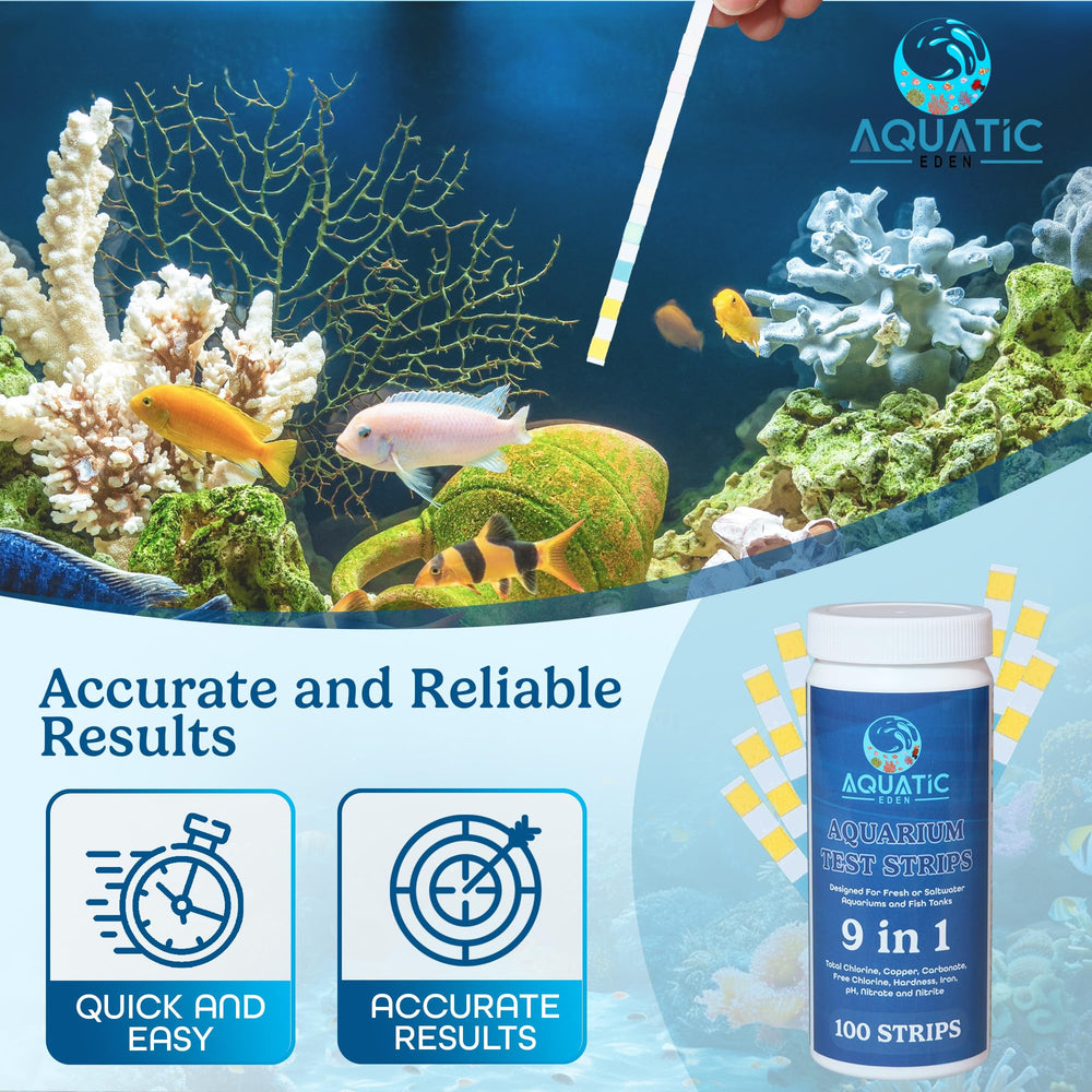 Cadeau idéal Aquatic Eden pour passionnés d’aquariophilie