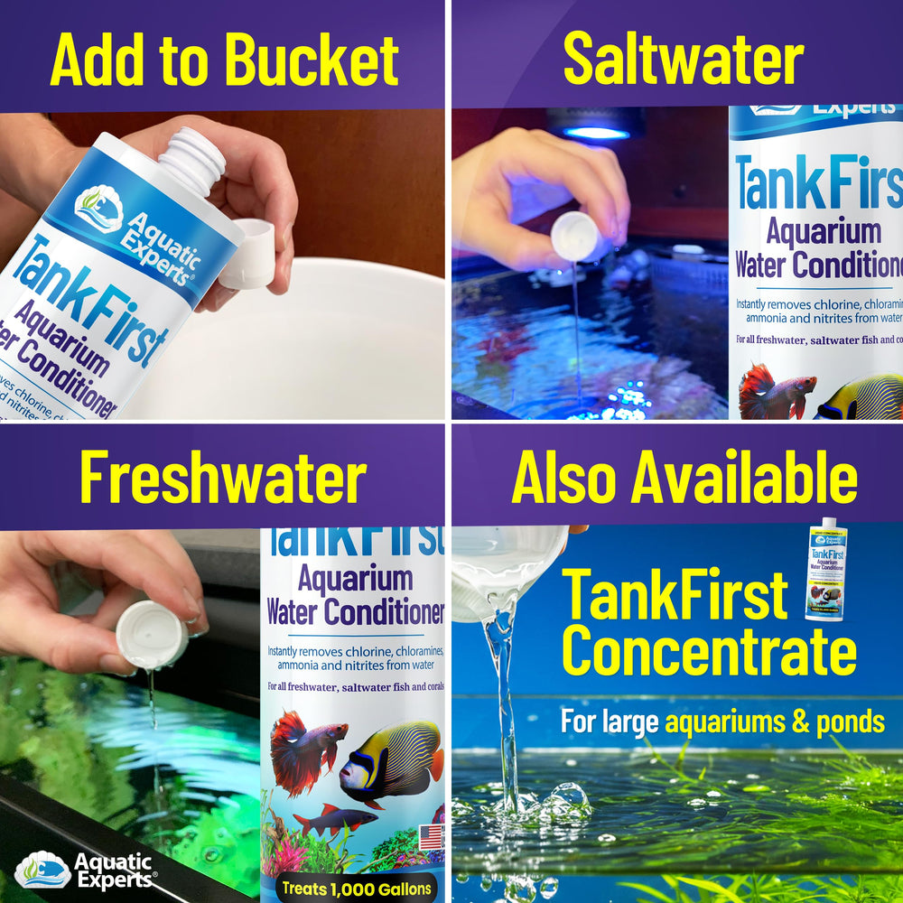 TankFirst – formule sans odeur pour une expérience d'aquarium plus agréable.