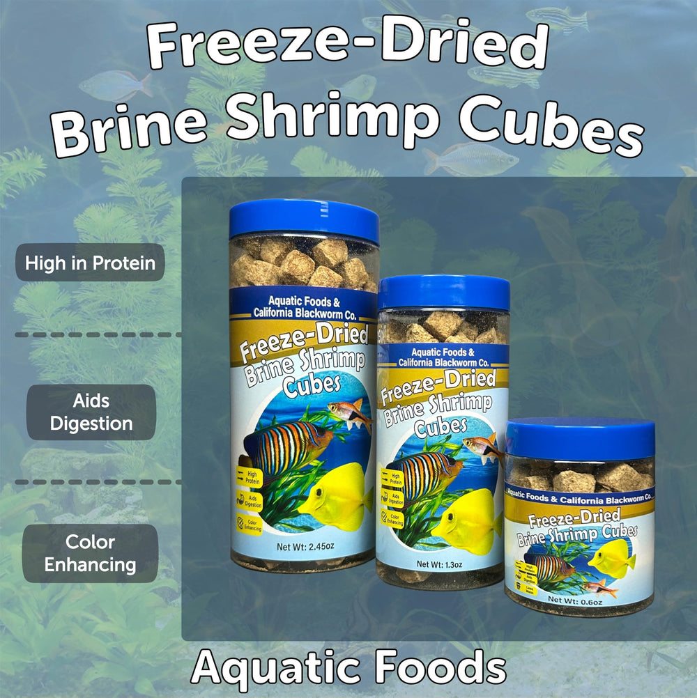 Aquatic Foods Inc. cubes tamisés, réduction de poussière et débris.