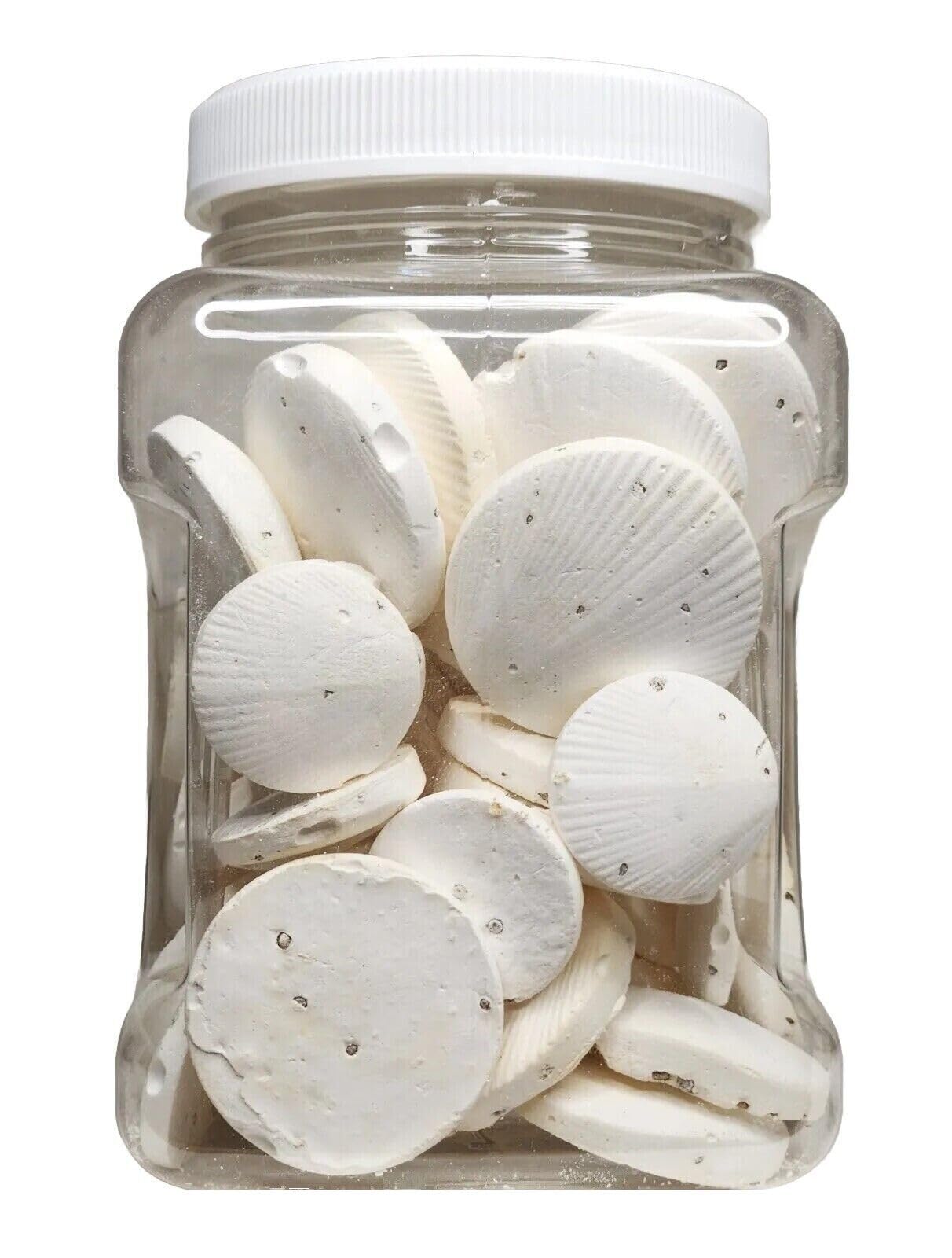 Disque calcium Aquatic Foods Inc. pour escargots, soutient coquilles solides grâce au calcium.