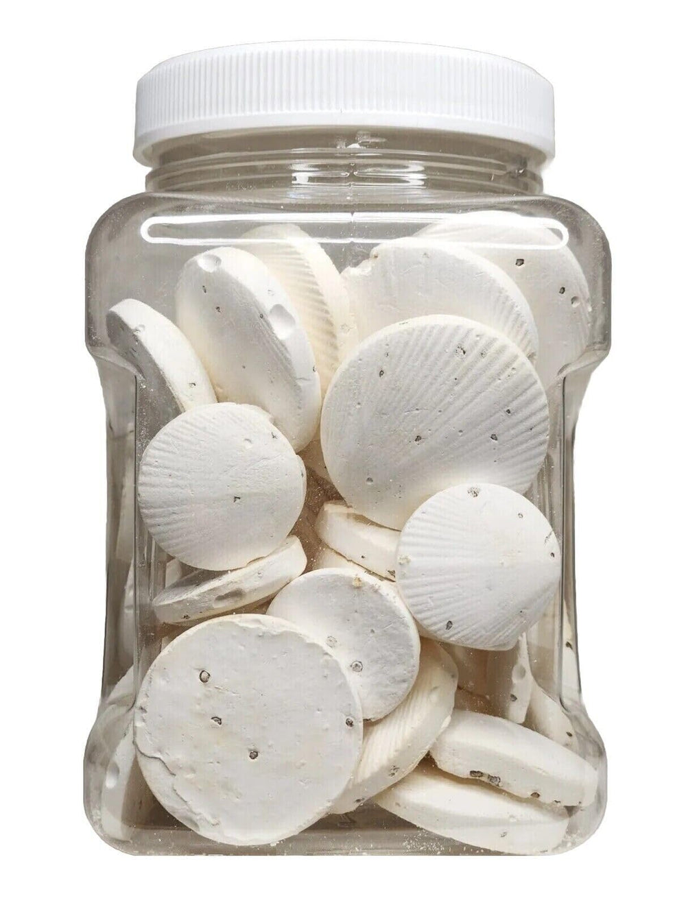 Disque calcium Aquatic Foods Inc. pour escargots, soutient coquilles solides grâce au calcium.