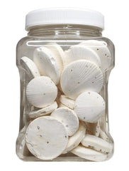 Disque calcium Aquatic Foods Inc. pour escargots, soutient coquilles solides grâce au calcium.