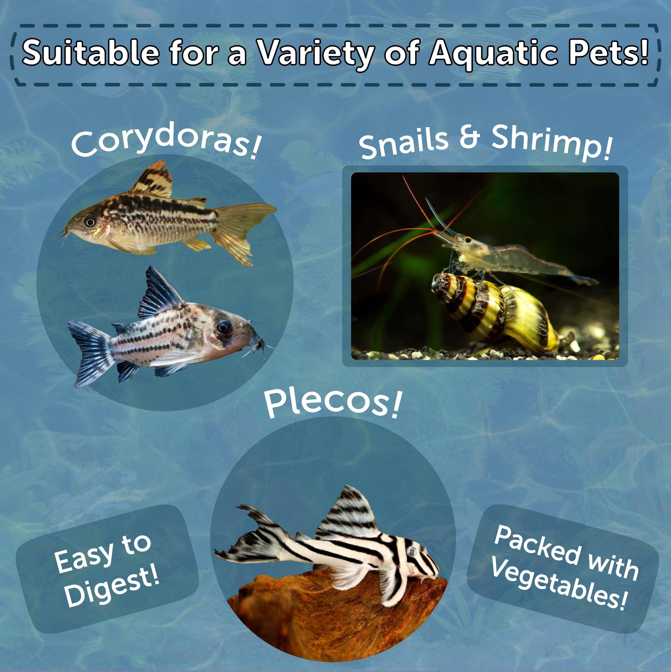 Aquatic Foods Inc. petites galettes coulantes, convient pour poissons et crevettes.