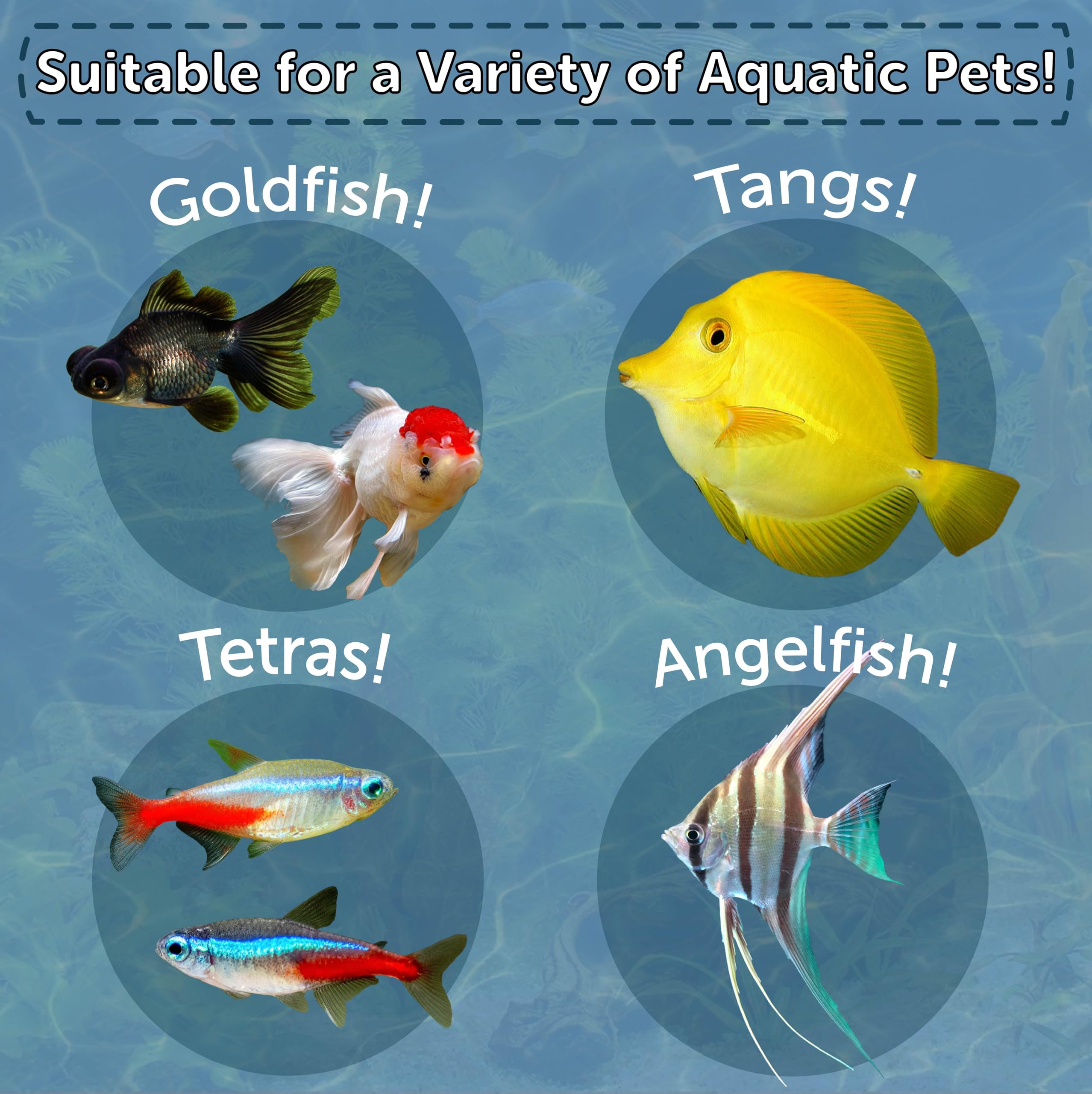 Pellets tubifex 12 variétés Aquatic Foods pour une alimentation variée.