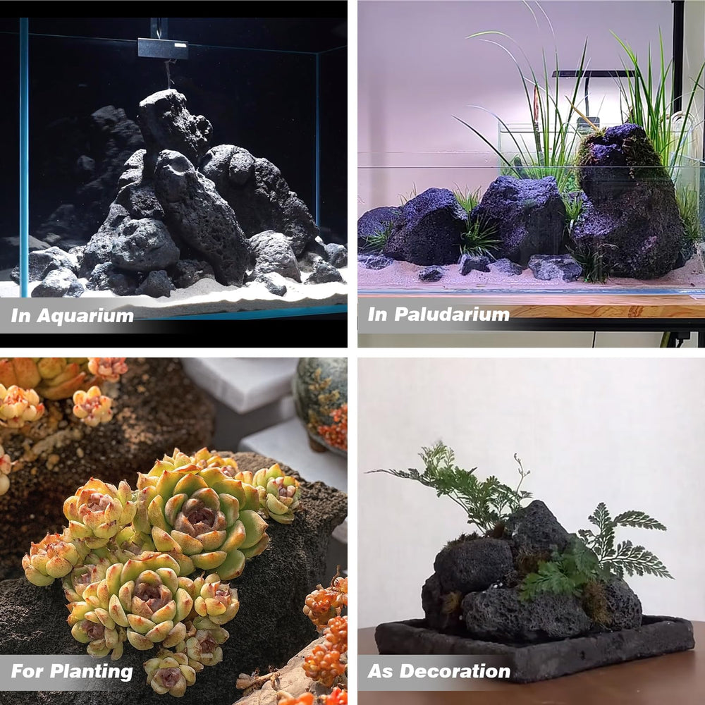 AQUATIS pierre de lave – terrarium et substrat pour bonsai et succulentes.