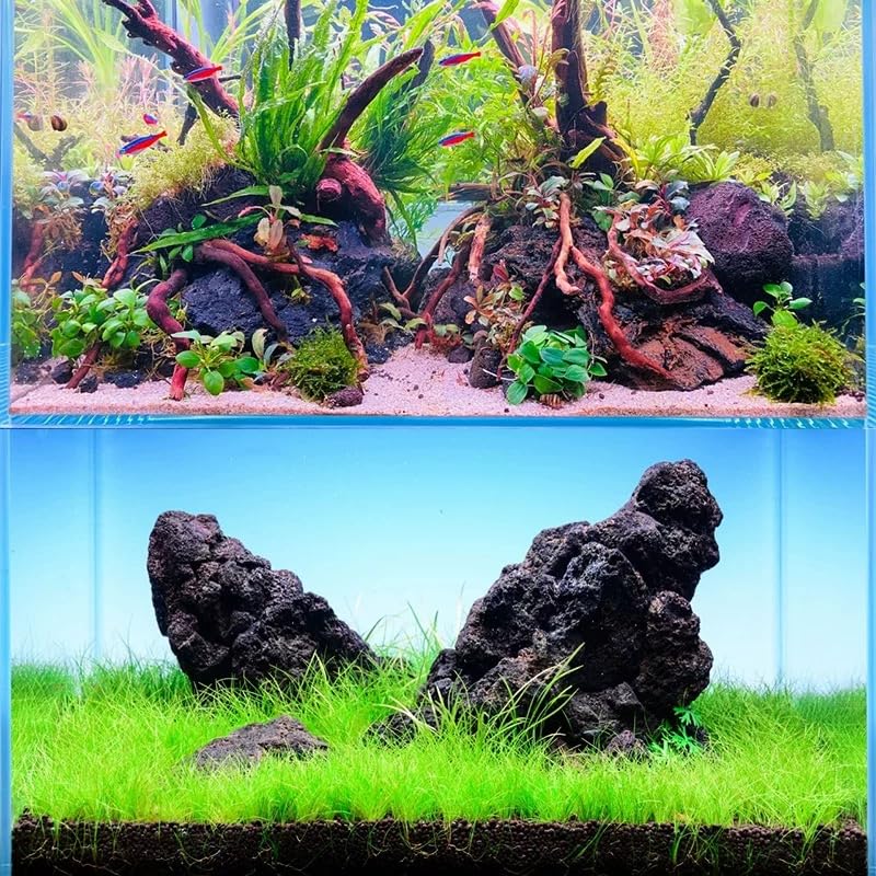 Roches AQUATIS pour paludarium et terrarium, décor durable et sans additifs.