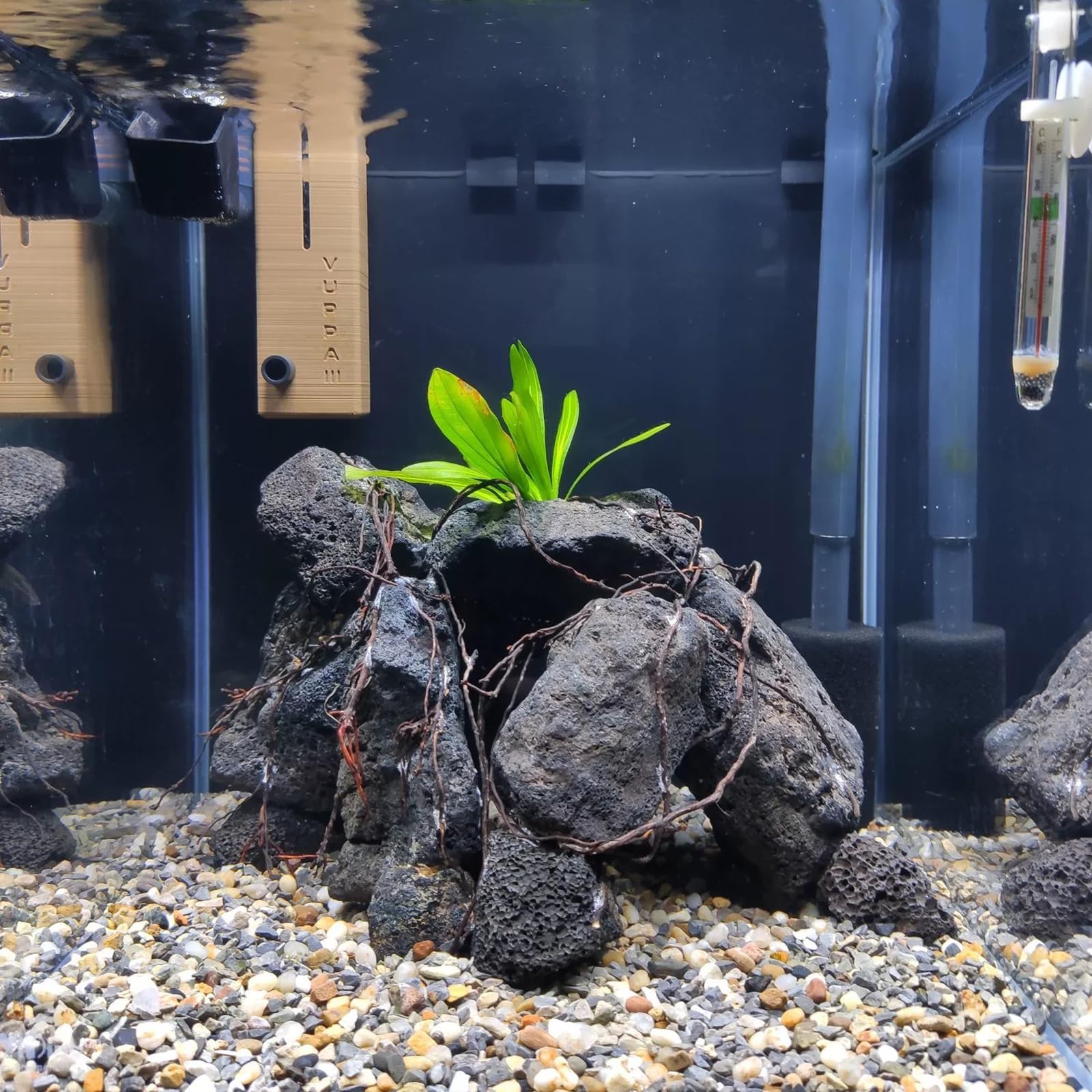 Roches AQUATIS pour terrariums reptiles, résistantes à la chaleur et faciles d'entretien.