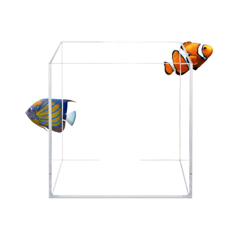 Aquatop Cube : vue generale du bac avec clarté exceptionnelle pour observation.