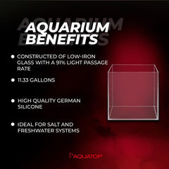 Aquatop Cube : verre haute clarté pour voir nettement chaque poisson et plante.