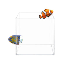 Le cube Aquatop en verre ultra clair offre une visibilité exceptionnelle en eau douce et salée.