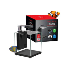 Aquatop Pisces affiche l'aquarium nano en verre forme boule, pièce maîtresse et entretien facile.