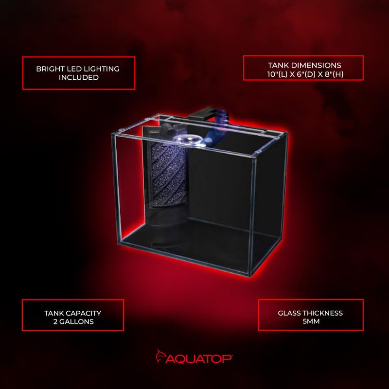 Aquatop Venti: installation simple, idéale pour débutants et amateurs.
