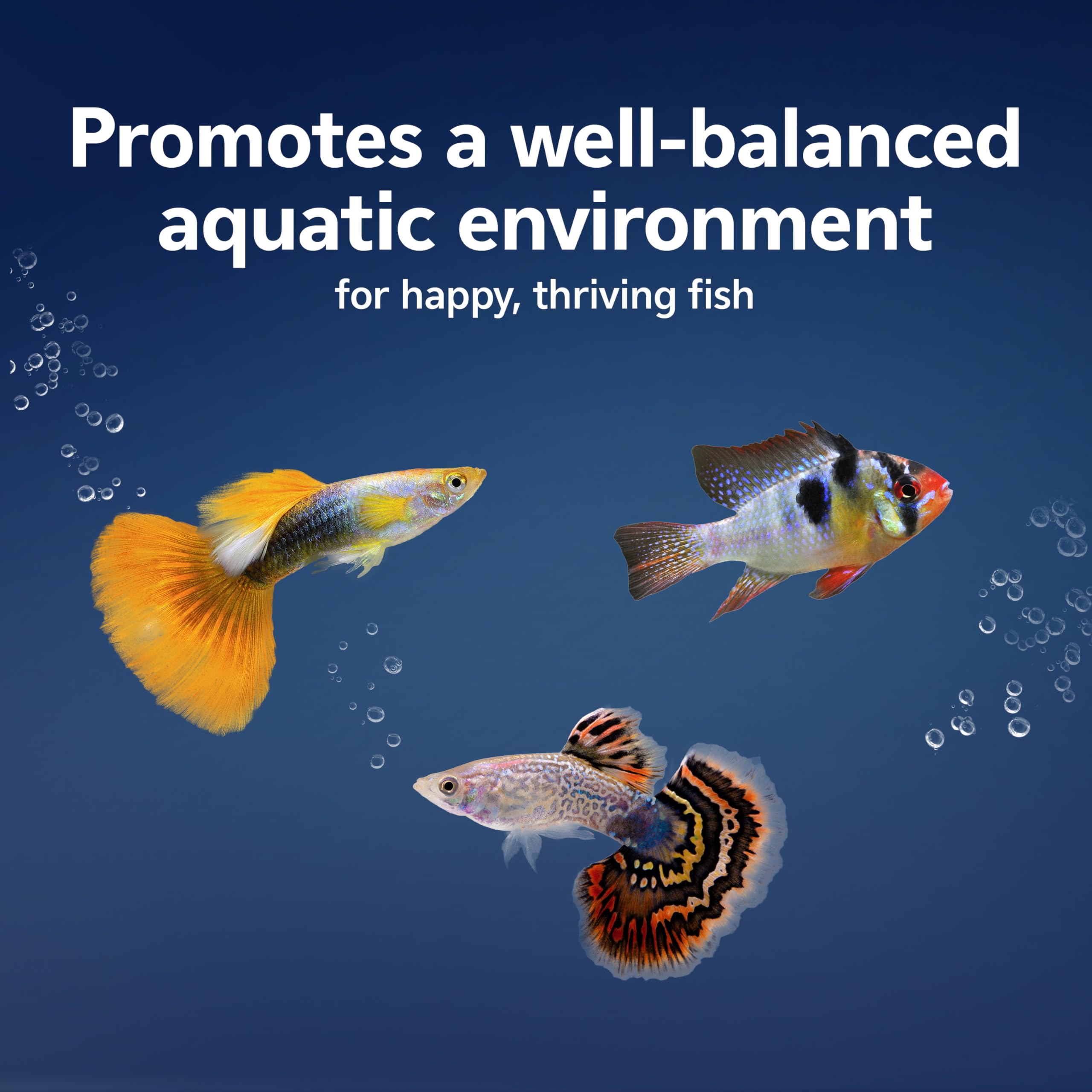Aqueon AquaPacs : filtration facilitée en liant les particules.