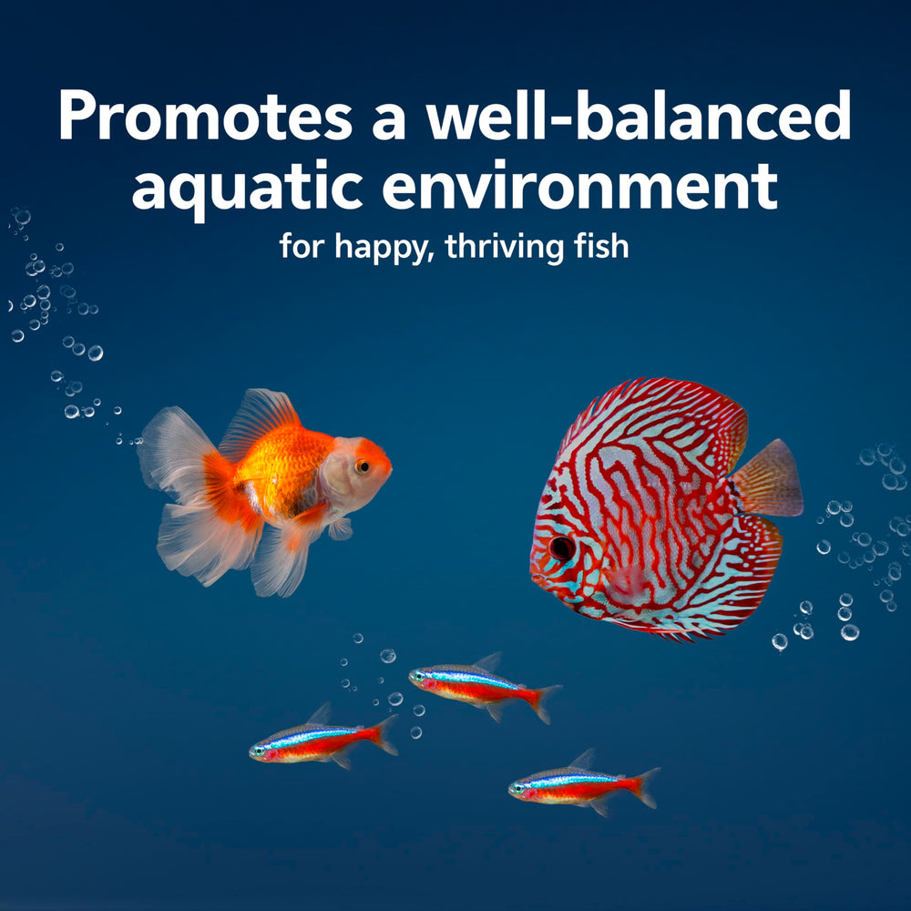 Aqueon AquaPacs Sludge Remover balle en action dans un aquarium sain
