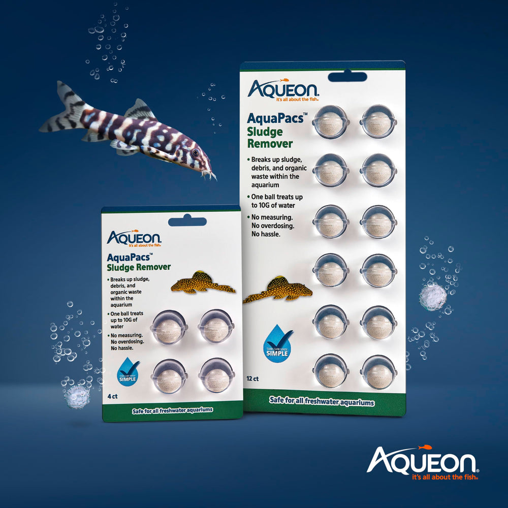 Aqueon AquaPacs Sludge Remover facilite la filtration et l’entretien