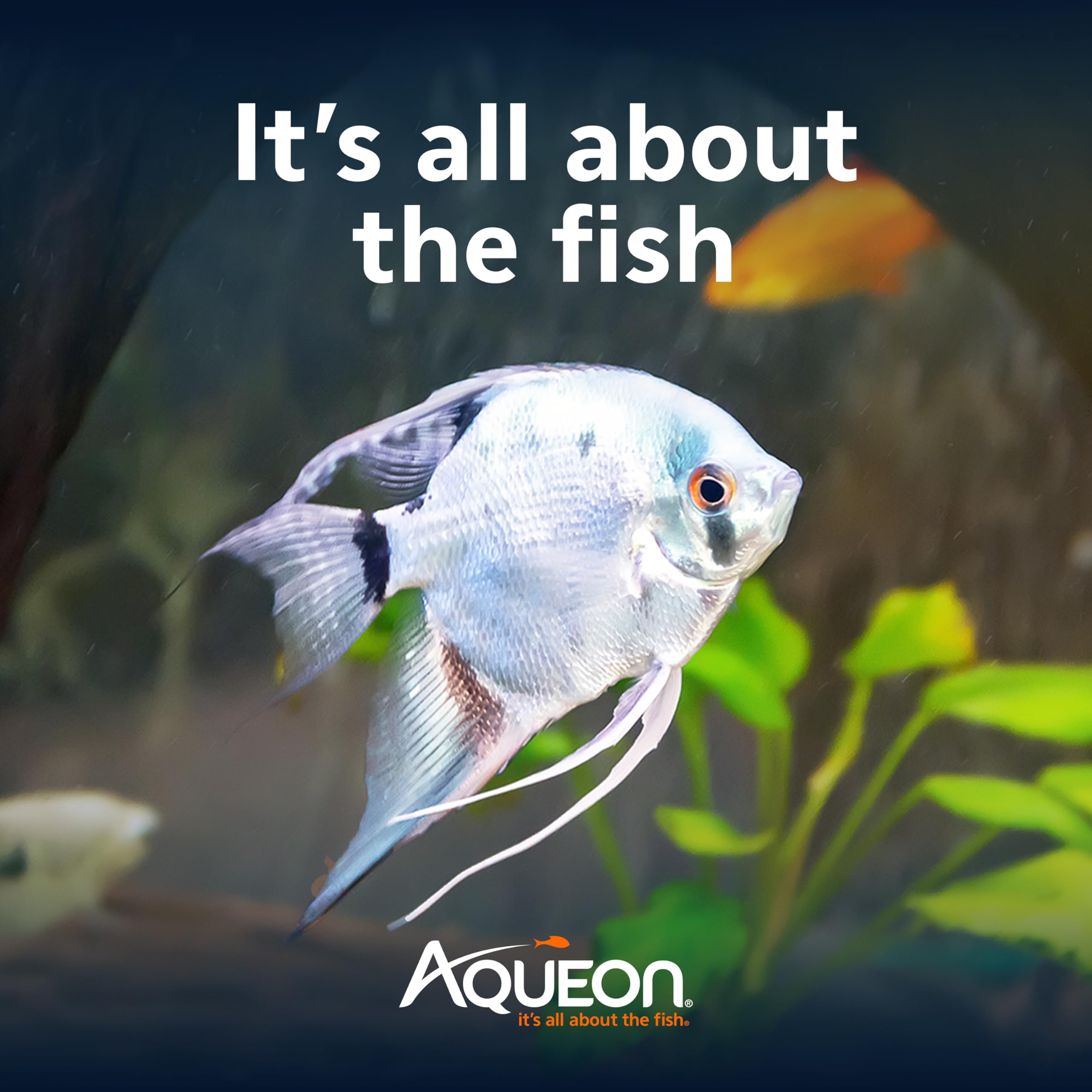 Ingrédients premium Aqueon Cichlid pour saveur et vitalité des poissons