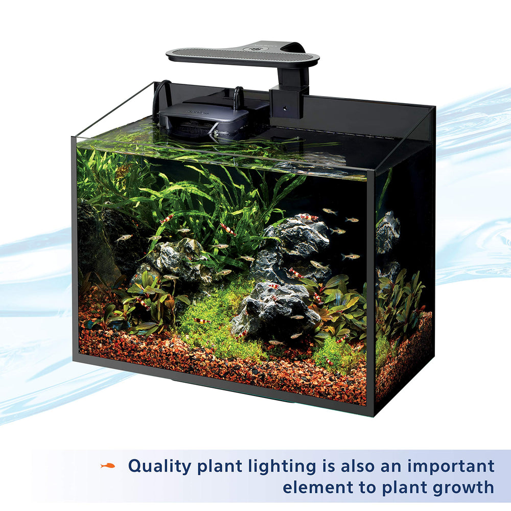 Emballage clair avec doseur inclus, pratique pour le rangement.