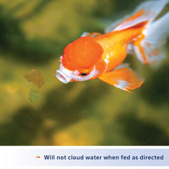 Utilisation optimale des flocons Aqueon pour Poissons Rouges, réduction des déchets.