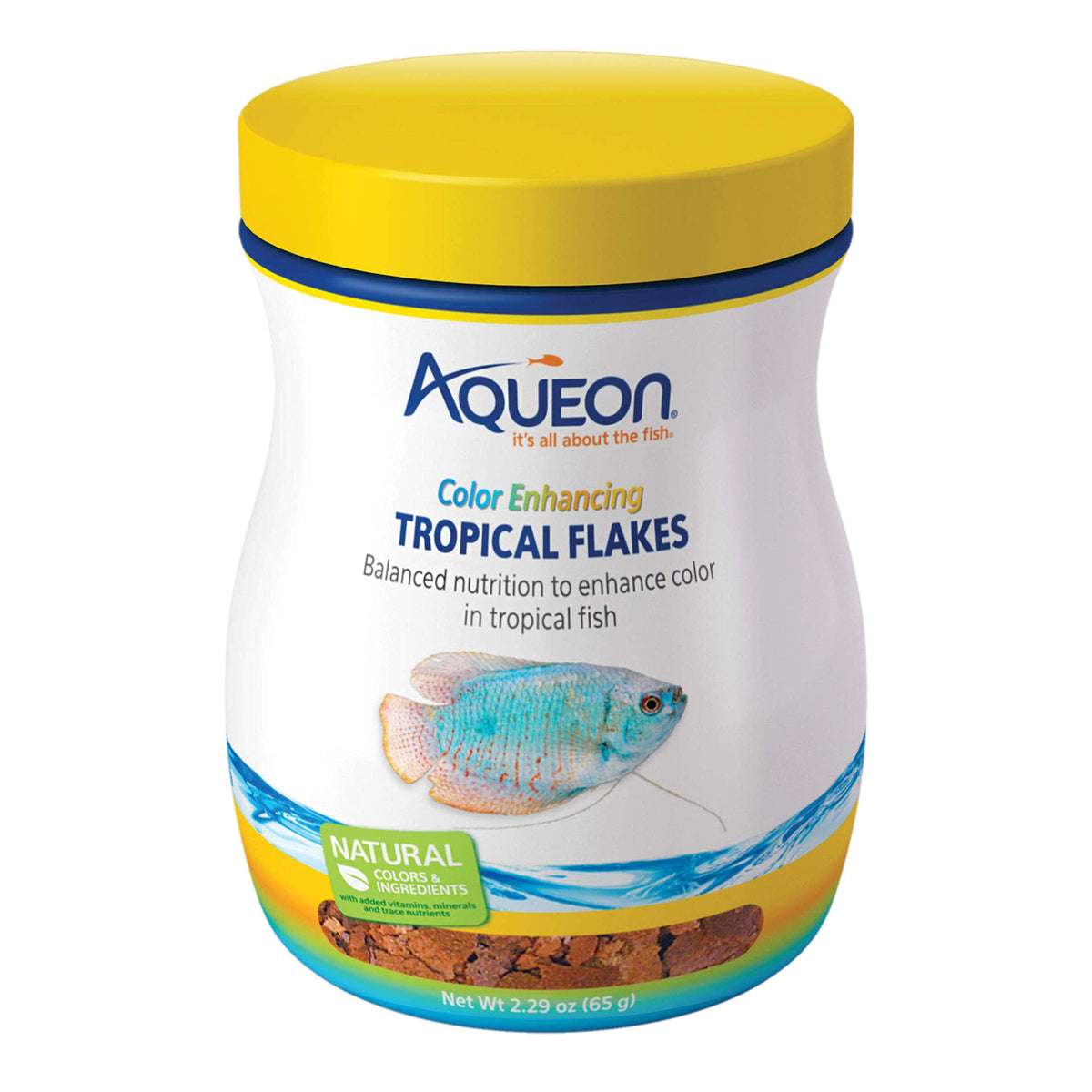 Aqueon Flocons Tropicaux – bocal montrant l'amélioration des couleurs des poissons