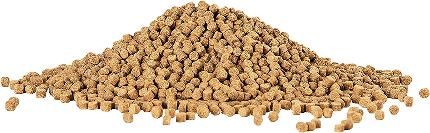 Aqueon Granules crevettes – texture nutritive favorisant une croissance saine des poissons du fond.
