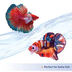 Aqueon Nutrinsect pellets-protection-des-oceans: formulation respectueuse des océans.