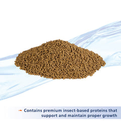 Aqueon Nutrinsect ingrédients insectes et spiruline : couleur plus vive chez les poissons