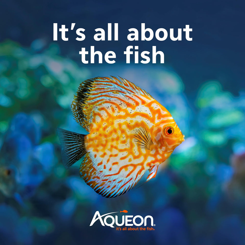 Aqueon Disques Omnivores: emballage compact facilitant le dosage et l'organisation.