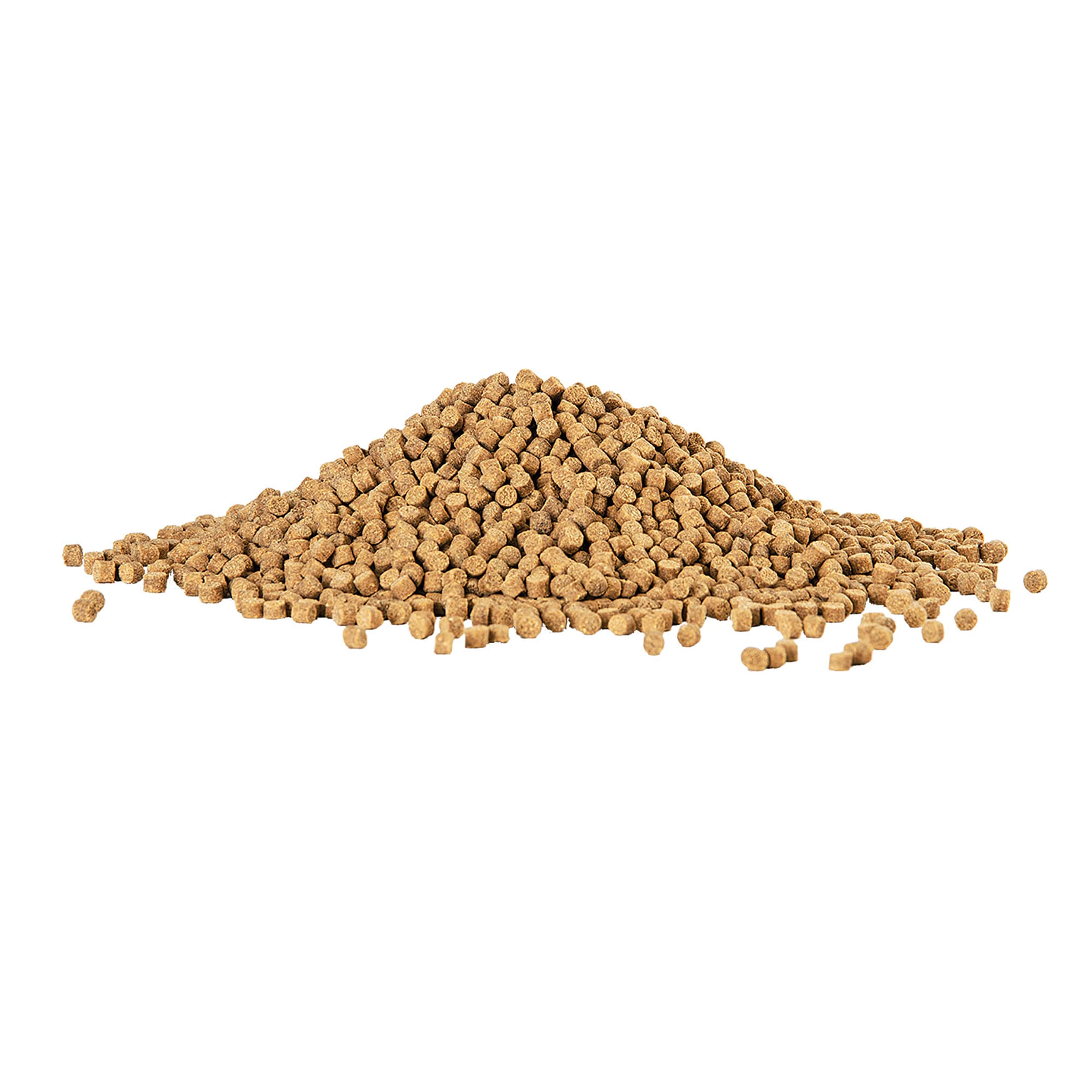 Granulés Aqueon d’environ 9 mm, taille adaptée pour poissons de fond.