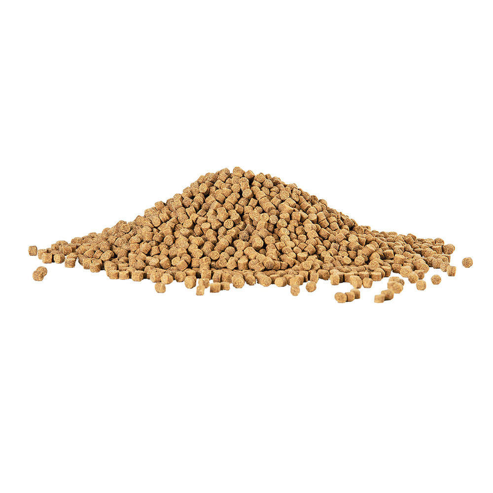 Granulés Aqueon d’environ 9 mm, taille adaptée pour poissons de fond.