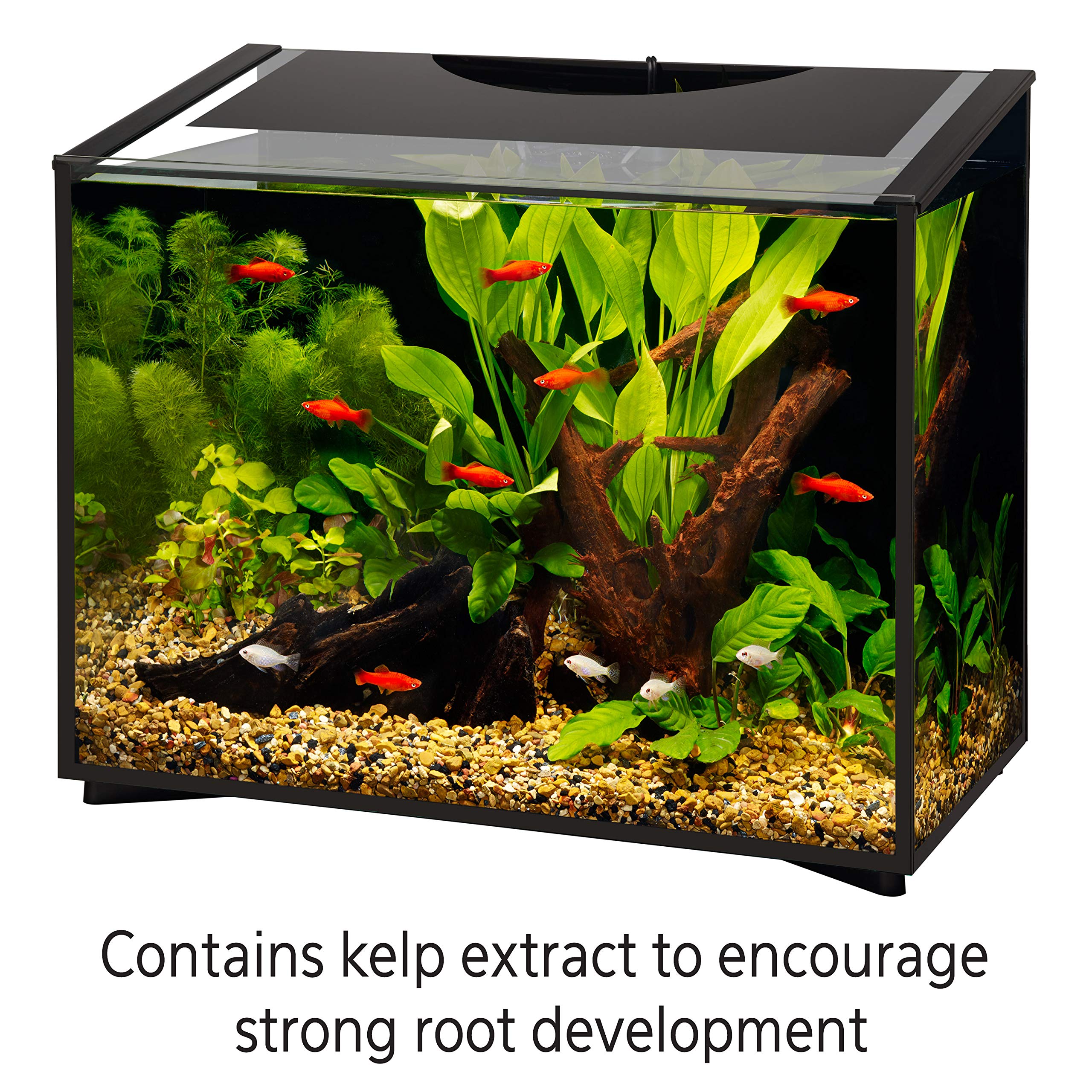 Plantes d’aquarium vertes et saines grâce à ce complément.