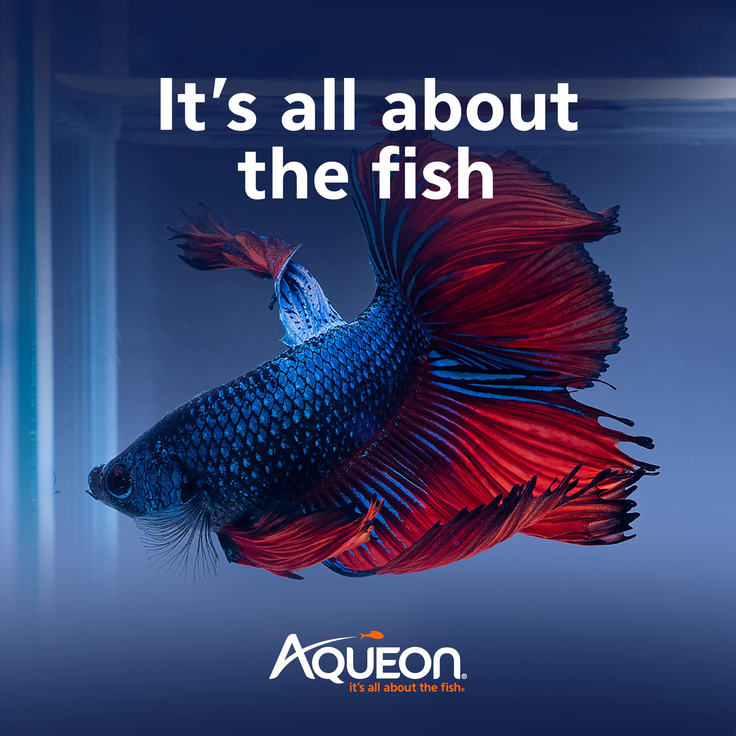 Aqueon PURE Betta Beads habitat non filtré, adapté à un aquarium sans filtre.