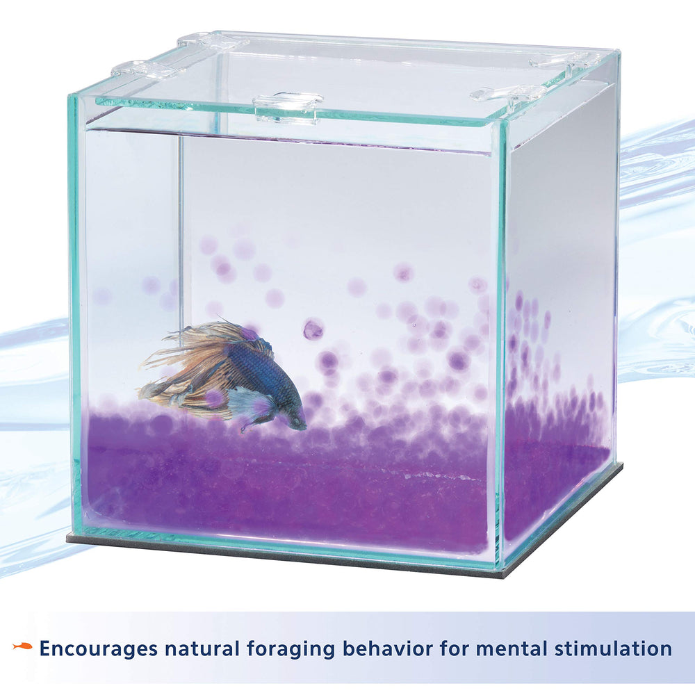 Gros plan sur les billes Aqueon Pure Betta dans l'aquarium, enrichissement visuel.