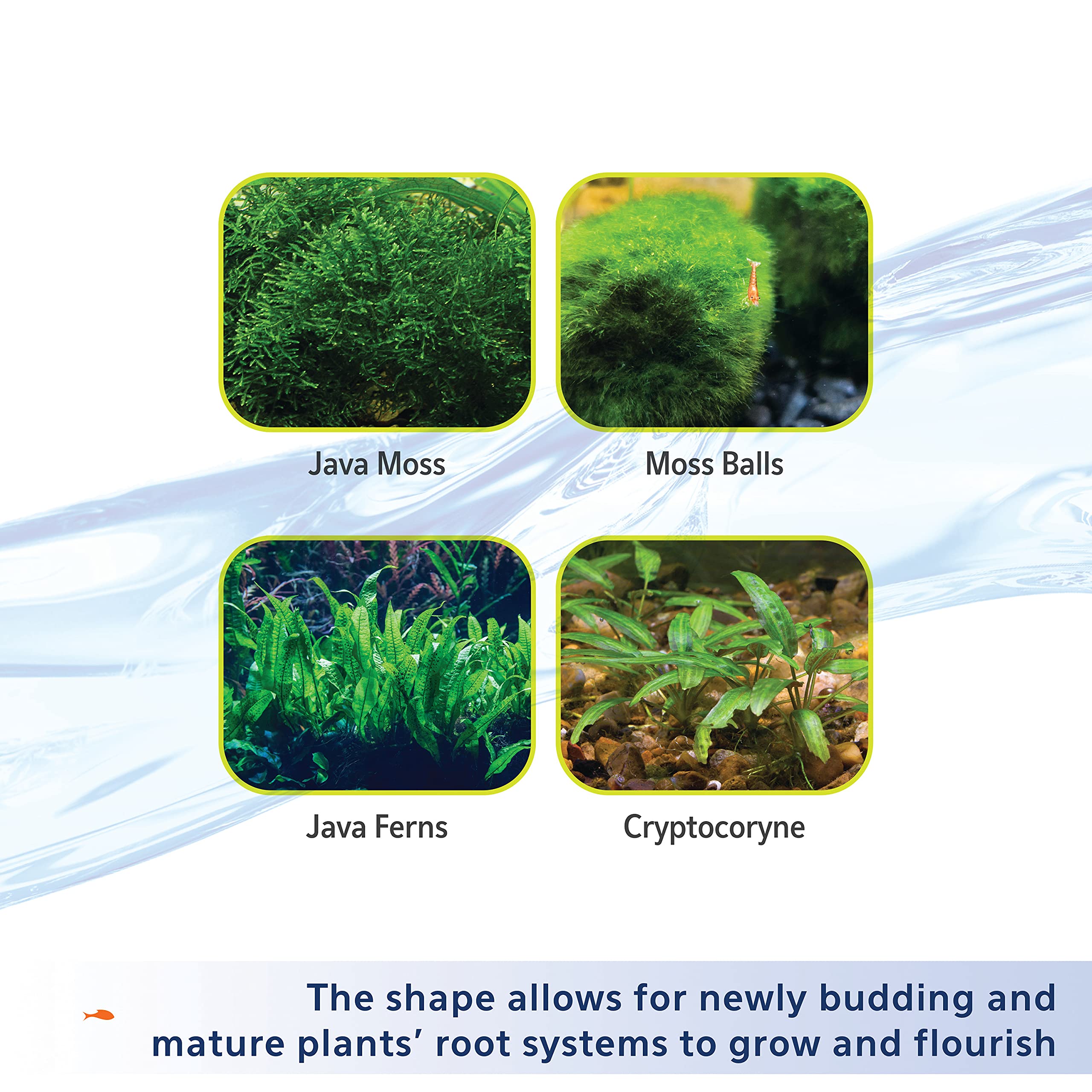Aqueon Substrat idéal pour l'aquascaping avec plantes variées.