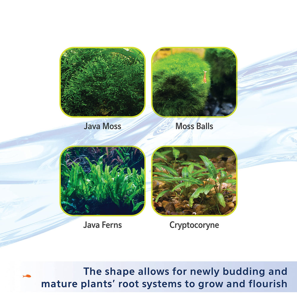 Utilisation en aquascaping avec substrat argileux Aqueon et plantes en croissance.