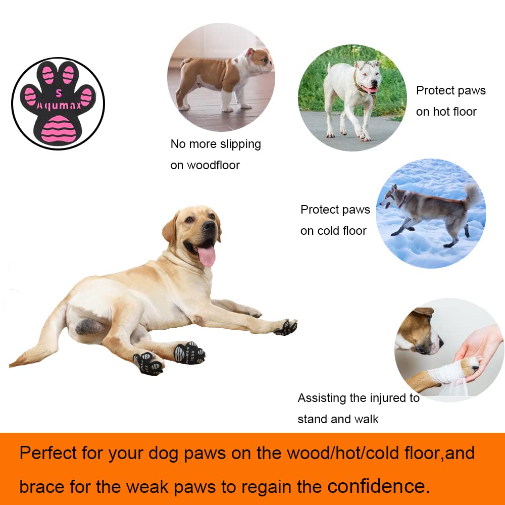Conseils-utilisation Aqumax-pattes-chien pour une pose efficace.