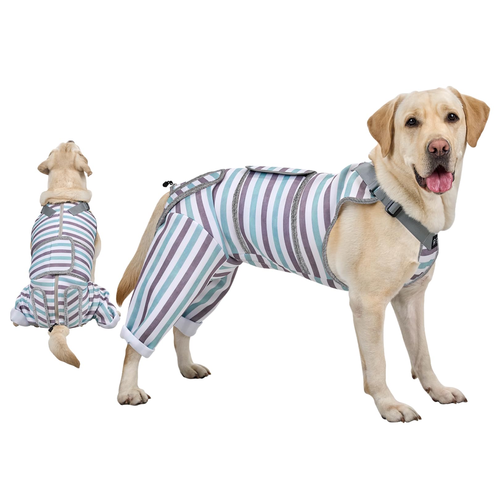 Arblina combinaison rétablissement chien face: protection des plaies et confort durable.
