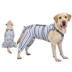Arblina combinaison rétablissement chien face: protection des plaies et confort durable.